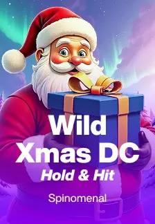 Wild Xmas DC Hold & Hit
